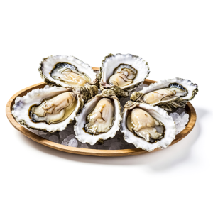 ostras del pacifico medianas x 12 uds.