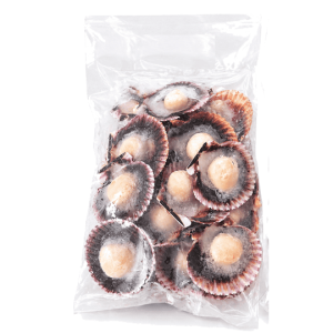 concha de abanico 1/2 valva con coral