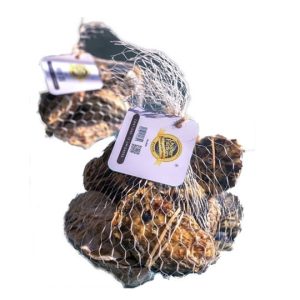 ostras del pacifico grande x 12 uds. (copia)